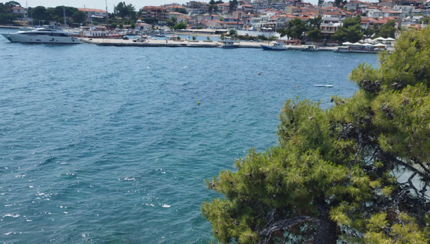 Thessalonique : excursion à Neos Marmaras et plage - Photo 5