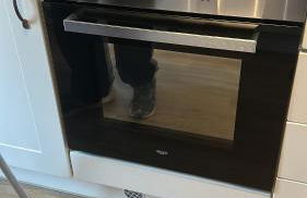 Daffy Duck - Foto 21