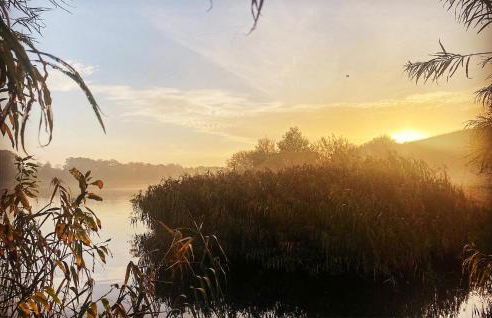 Stunning Home In Krems Iiwarderbrück - Foto 32