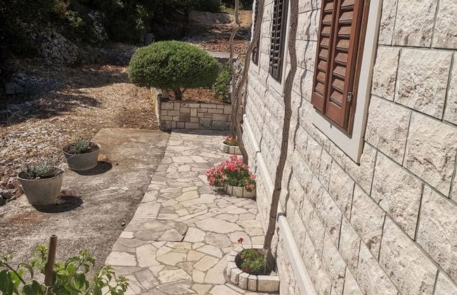 Cozy Robinson Crusoe-style House - Photo 11