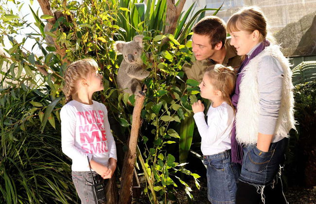 WILD LIFE Sydney Entrance Ticket - Foto 2