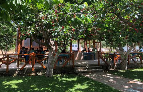 Gregory's Village - Foto 33