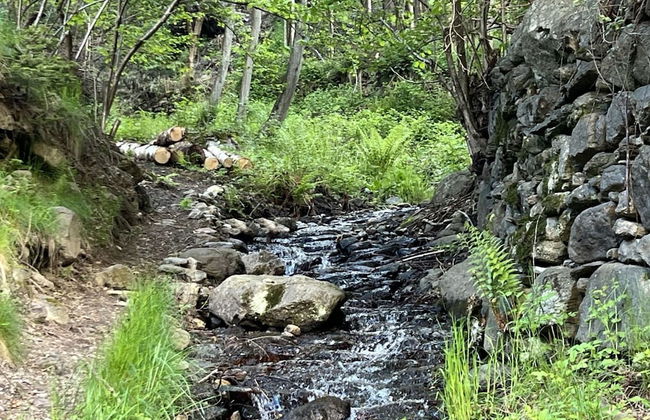 Ecobaita del Cacciatore - Foto 29