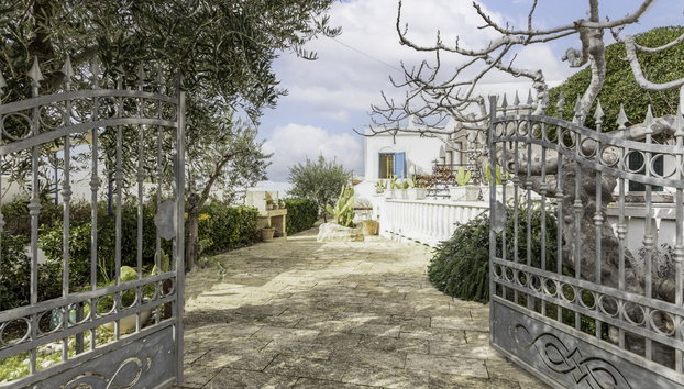 Pisa - Foto 2, Outdoor