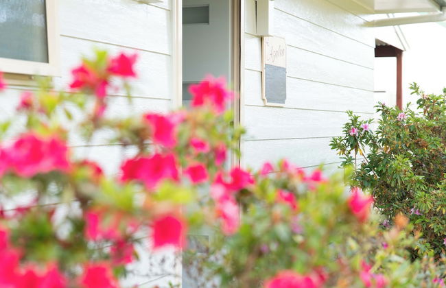 Poinciana Cottages - Foto 11