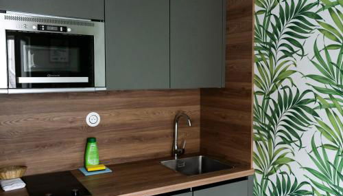 MULTIRESIDENCE L'ELYSEE Paris - Foto 5, stove