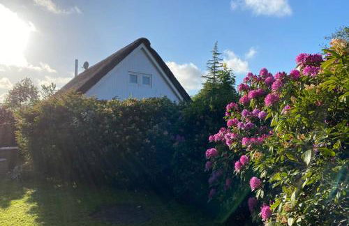 Ferienhaus Butterblume - Foto 15