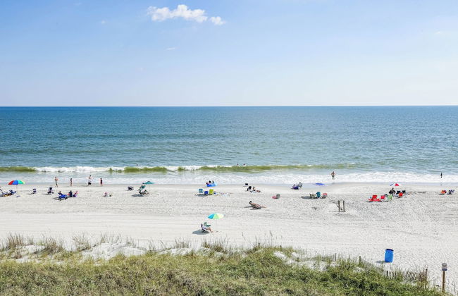 Jade Tree Cove - Foto 51