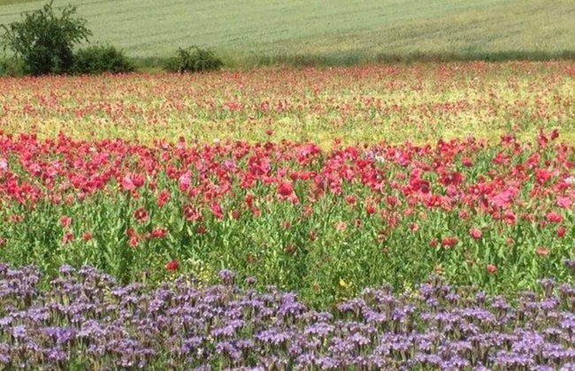 Modern Holiday Home in Hessen - Foto 30