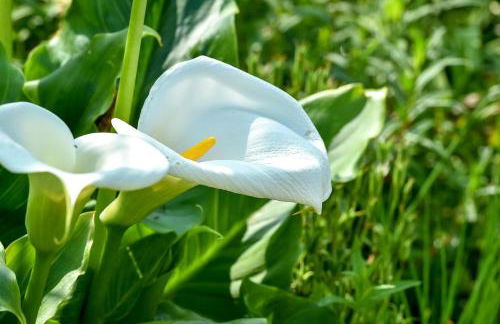 2 Bed in Belfast oc-ota1 - Foto 8