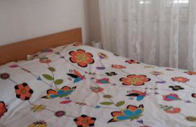 Ruzicin dvor - Photo 69