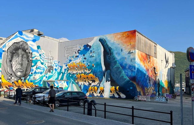 Visita guidata di Tromsø - Foto 1