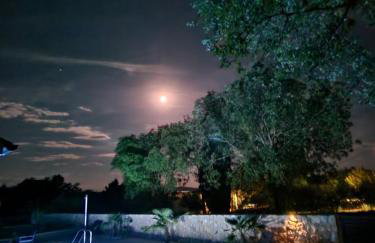 Villa Sidro Krk - Foto 15