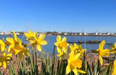 Anglesey Coastal Cottage 200 metres from Beach, Dog and Family Friendly - Foto 33