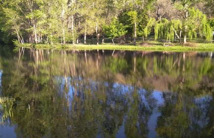 Serapicos House - Foto 34