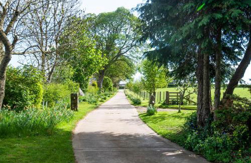 Up North Stays - Foto 44