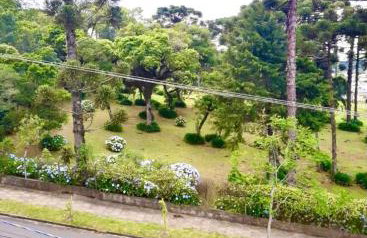 Aconchegante apto com vista para Catedral - Foto 20