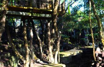 Quinta do Paraíso - Photo 9