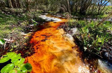 Luxurious Farm House 63 Acres - Foto 65