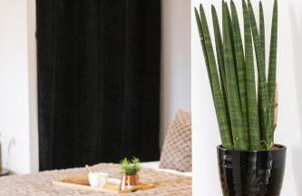 Le Carpe Diem - Détente & Bien être - Balnéo, Sauna, Terrasse - Foto 30