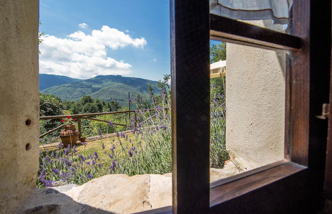 Agriturismo il Gufo - Photo 49