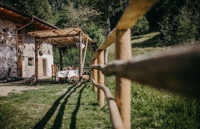 Maso nel bosco - Photo 44