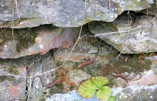 Marmann - large holiday apartment - Foto 14