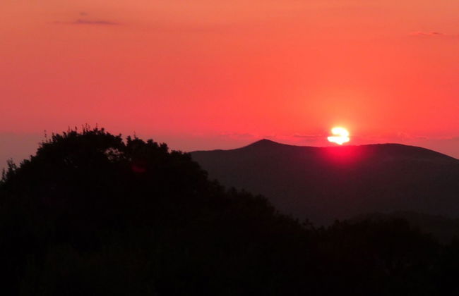 Agriturismo Sa Tanca - Photo 45