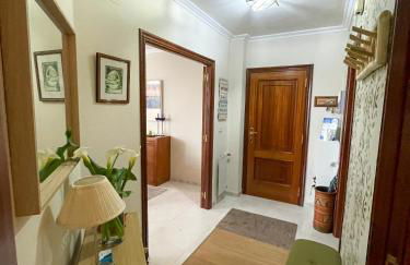 Miranda VUT-PO-004637 - Foto 28