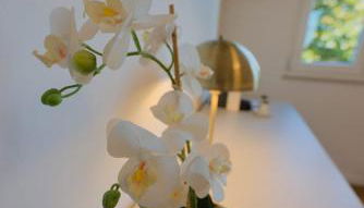 Camera Nairobi - La Casa di Carta Affittacamere - Foto 2