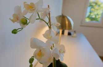 Camera Nairobi - La Casa di Carta Affittacamere - Foto 2