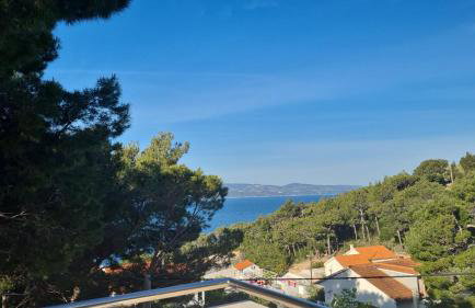 Vila nel verde - Foto 6