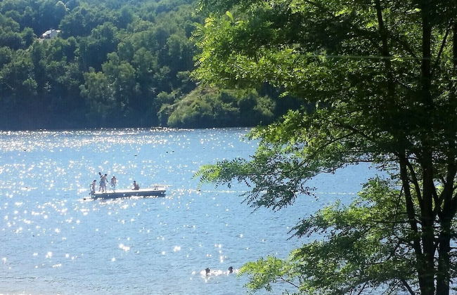 Gîtes LES Fougeres DU LAC - Foto 59