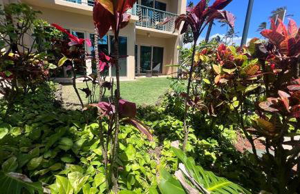 Pau Hana Kauai at Waipouli Beach Resort - Photo 27