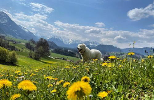 Fewo Längerer - Foto 17