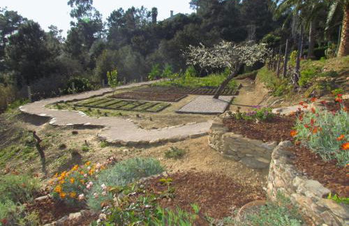 Paraíso Azul - Foto 53