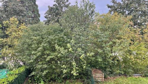 Appartio: Studio-Appartement am Stadtrand - Foto 3