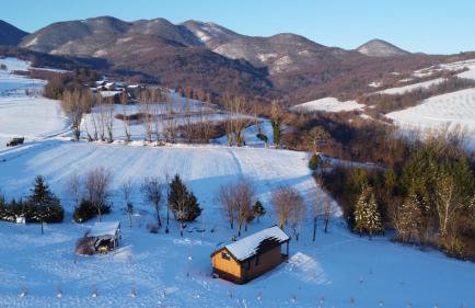Dushka Mountain Cabin - Photo 63
