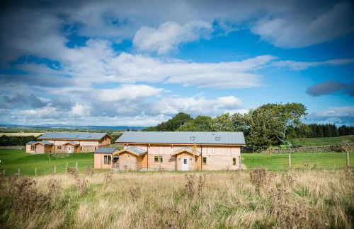 Blue Sky Lodges. Atlas & Aurae - Foto 43