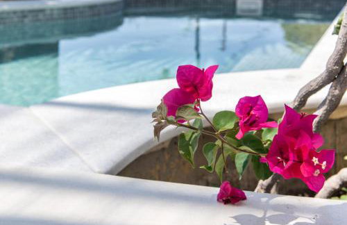 Porto Bello Tinos - Foto 57