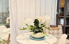 Studio Completo - Photo 7
