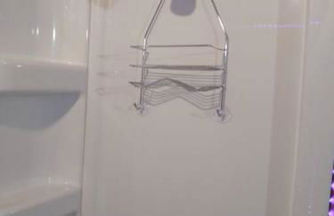 Cabin with a tree house on a buffalo farm . - Foto 24