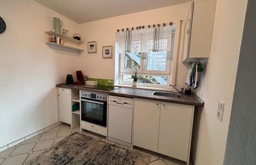 Panorama-Haus Ferienwohnung SÄNTIS - Schlafzimmer, Wohnzimmer, Küche, Bad, Sonnenterrasse mit Bergblick im Garten - Foto 11