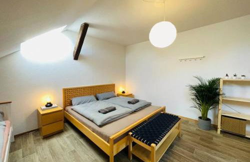 P6 - Familienwohnung am Park und Saale - Foto 22