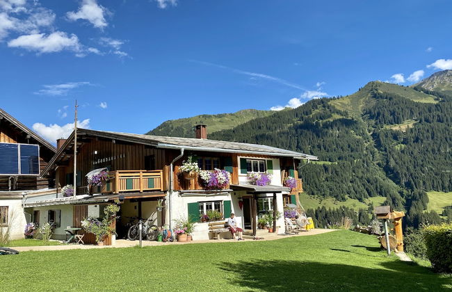 Bi-dr-gondamaika - Foto 34