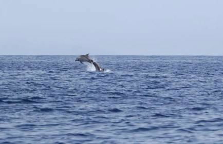 Casa Eliseos Playa - Foto 13