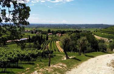 Giardino del Borgo Appartamento Valpolicella - Foto 30