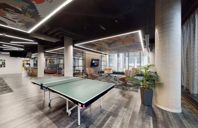 For Students Only Canvas Manchester - Foto 22