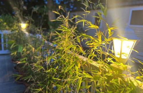 Jungle lodge - Photo 54