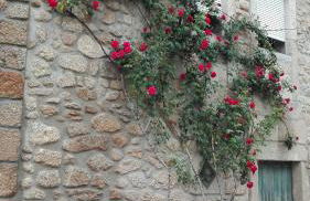 Casa da Rosa - Foto 22